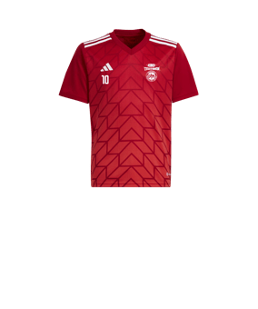 adidas Team Icon 23 Trikot Kids Rot