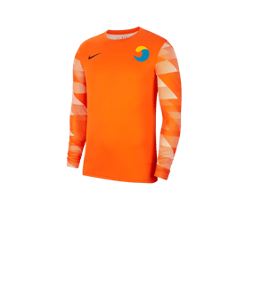 Nike Park IV TW-Trikot langarm Kids Orange F819