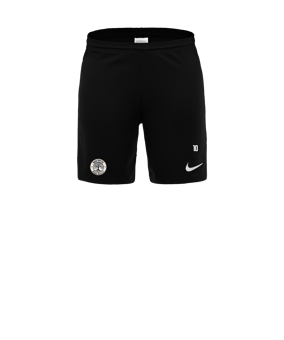 Nike Park III Court Noir C010 