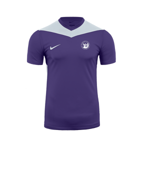 Nike Park Derby IV Trikot Lila Weiss F547