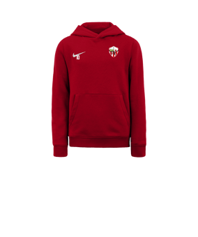 Sweat à capuche en polaire Nike Park 20 enfants Rouge blanc F657