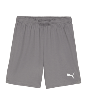 PUMA teamGOAL Short Grau Weiss F13 - grau
