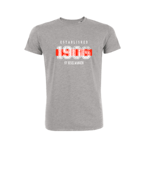 Merch Creator 2.0 T-Shirt Heather Grey | #established