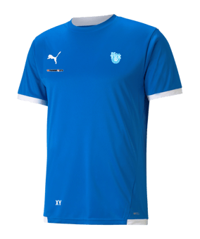 PUMA teamLIGA Trikot Blau F02