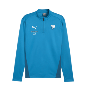 PUMA teamGOAL Training 1/4 Zip Sweatshirt Blau F02