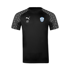 PUMA teamLIGA26 Trikot Schwarz F03