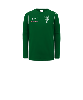 Nike Park 20 Sweatshirt Kids Grün Weiss F302