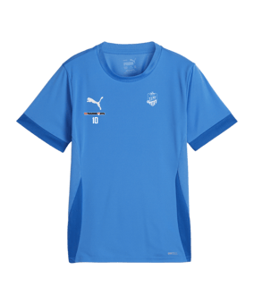 PUMA teamGOAL Matchday Trikot Kids Blau Weiss F02