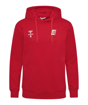 Sweat à capuche Hummel GO 2.0 rouges F3062 