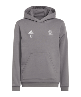 adidas Entrada 22 Hoody Kids Grau