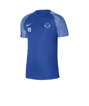 Nike Academy Trikot Blau Weiss F463