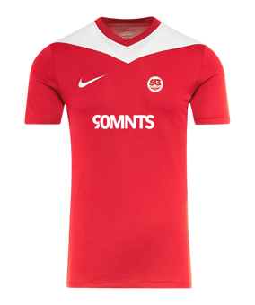 Nike Park Derby IV Trikot Rot F657