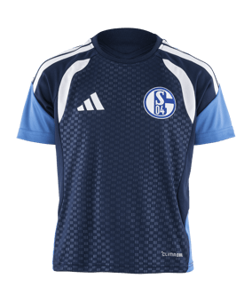 adidas FC Schalke 04 Team Trainingsshirt Kids Blau - blau
