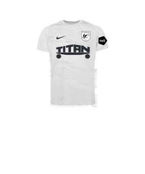 Nike Park VIII Trikot Kids Weiß F100
