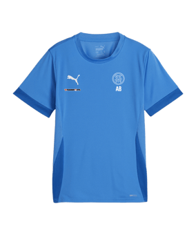 PUMA teamGOAL Matchday Trikot Kids Blau Weiss F02