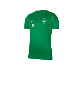 Nike Park 20 T-Shirt Kids Grün F302