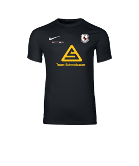 Nike Park VIII Trikot Schwarz F010