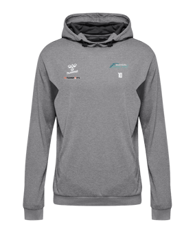 Hummel hmlAuthentic Poly Hoody Grau F2006