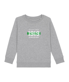 Merch Mini Scouter Sweatshirt Kids H. Grey FC250