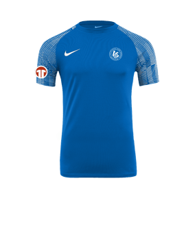 Nike Academy Trikot Blau Weiss F463