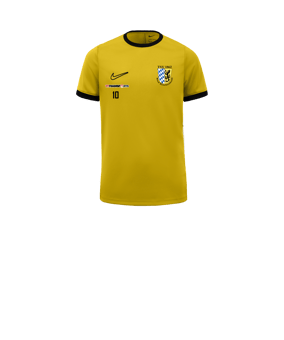 Nike Academy 25 Trainingsshirt Kids Gelb F719