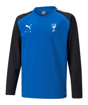 PUMA teamLIGA Sweatshirt Kids Blau F02