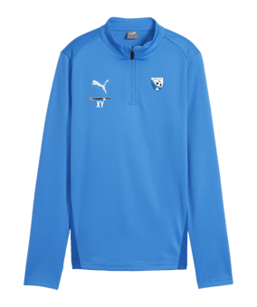 PUMA teamGOAL Training 1/4 Zip Sweatshirt D F02