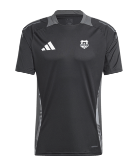 adidas Tiro 24 Comp Training Trikot Schwarz Grau