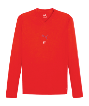 PUMA teamGOAL Baselayer Longsleeve Rot F01