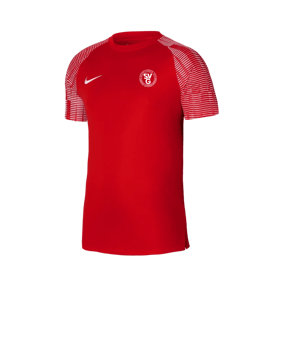 Nike Academy Trikot Rot Weiss F657