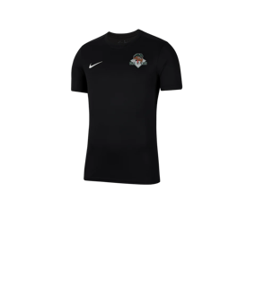 Nike Park VII Trikot kurzarm Kids Schwarz F010