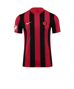 Nike Division V Striped Trikot Rot F657