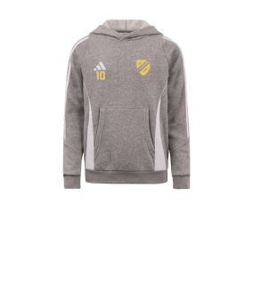 adidas Tiro 24 Hoody Kids Grau Weiss