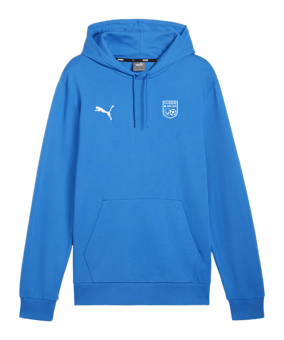PUMA teamGOAL Casuals Hoody Blau F02