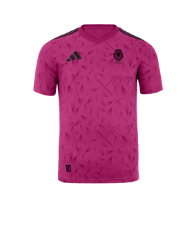adidas Team Icon 25 Trikot Rosa