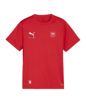 PUMA teamGOAL Trikot Kids Rot F01