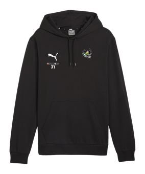 PUMA teamGOAL Casuals Hoody Schwarz F03