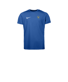 Nike Park VIII Trikot Kids Blau F463