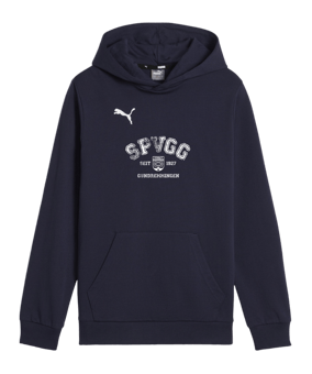 PUMA teamGOAL Casuals Hoody Kids Blau F06