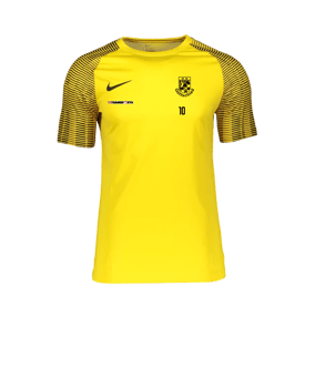 Nike Academy Trikot Gelb Schwarz F719