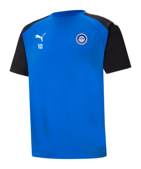 PUMA teamPacer Trikot Blau