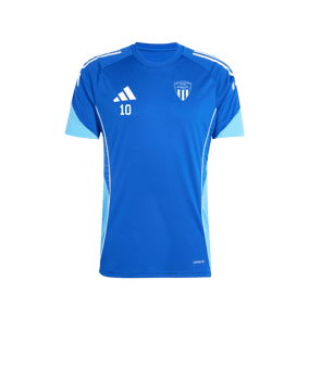 adidas Tiro 25 Competition Trikot Blau