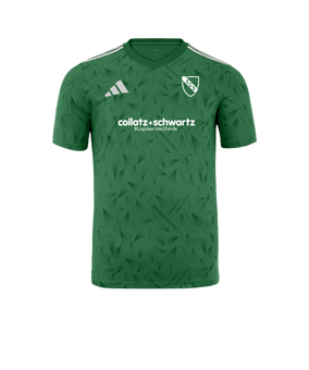 adidas Team Icon 25 Trikot Grün