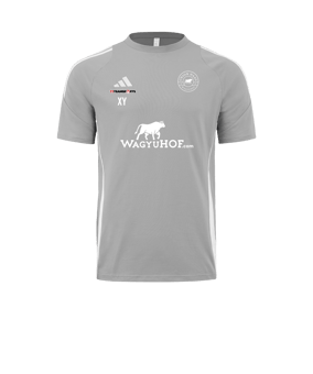 adidas Tiro 24 T-Shirt Grau Weiss