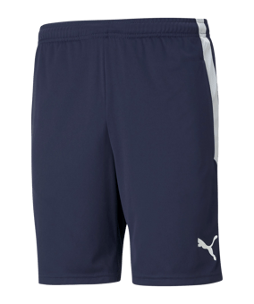 PUMA teamLIGA Training Short Blau F06 - blau