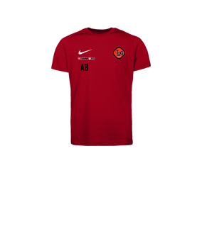 Nike Park VIII Trikot Kids Rot F657
