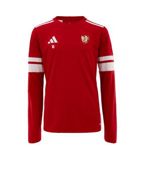 Maillot adidas Squadra 25 rouge 