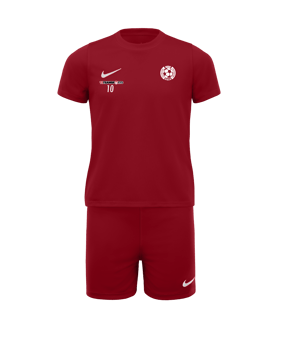 Nike Park 20 Kit Kids Rot F657