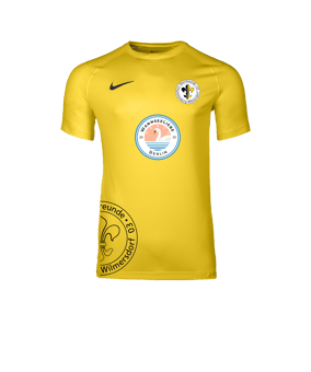 Nike Park VIII Trikot Gelb F719