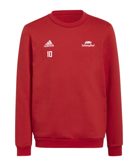 adidas Entrada 22 Sweatshirt Kids Rot